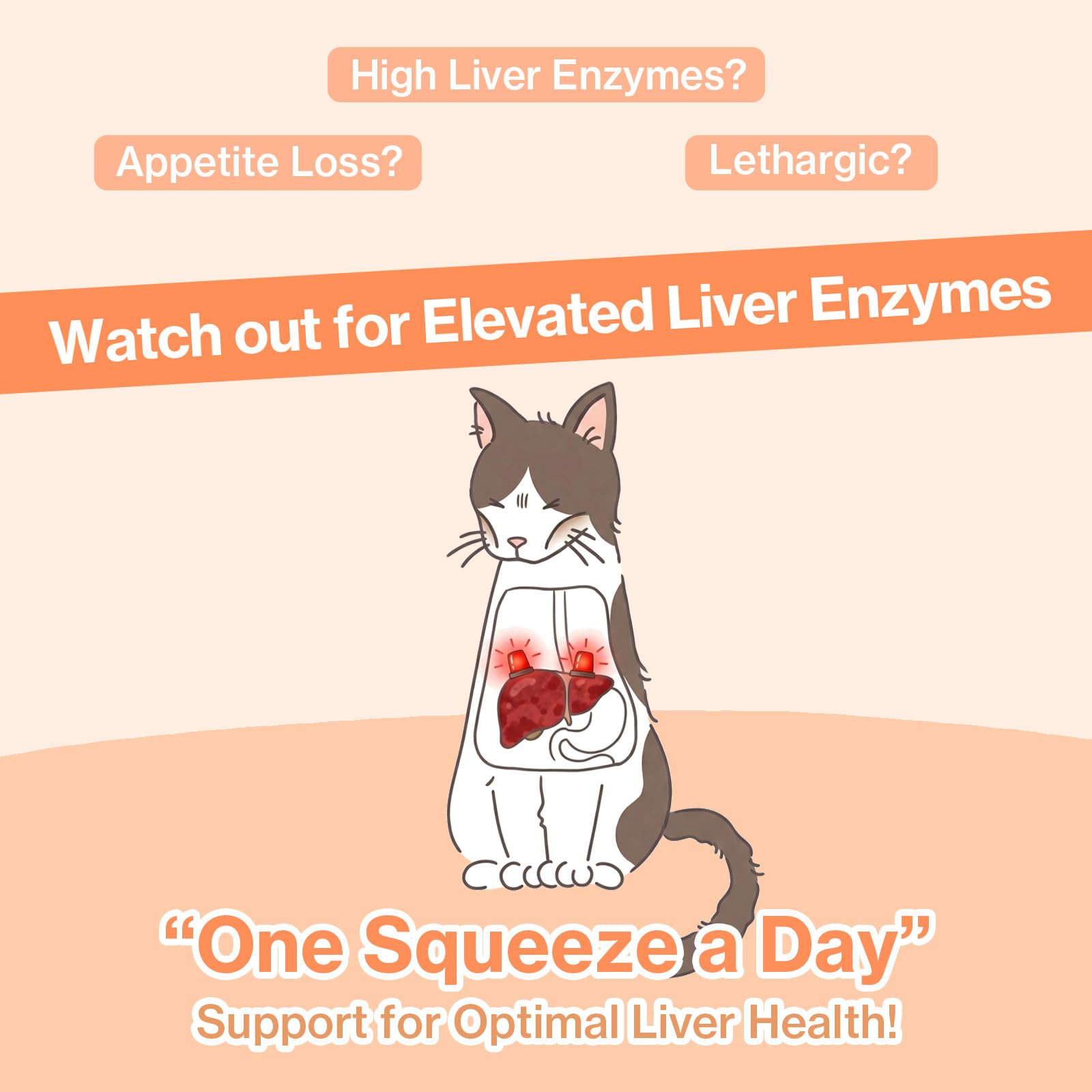 Squeezable pour action showing easy administration for busy cat owners