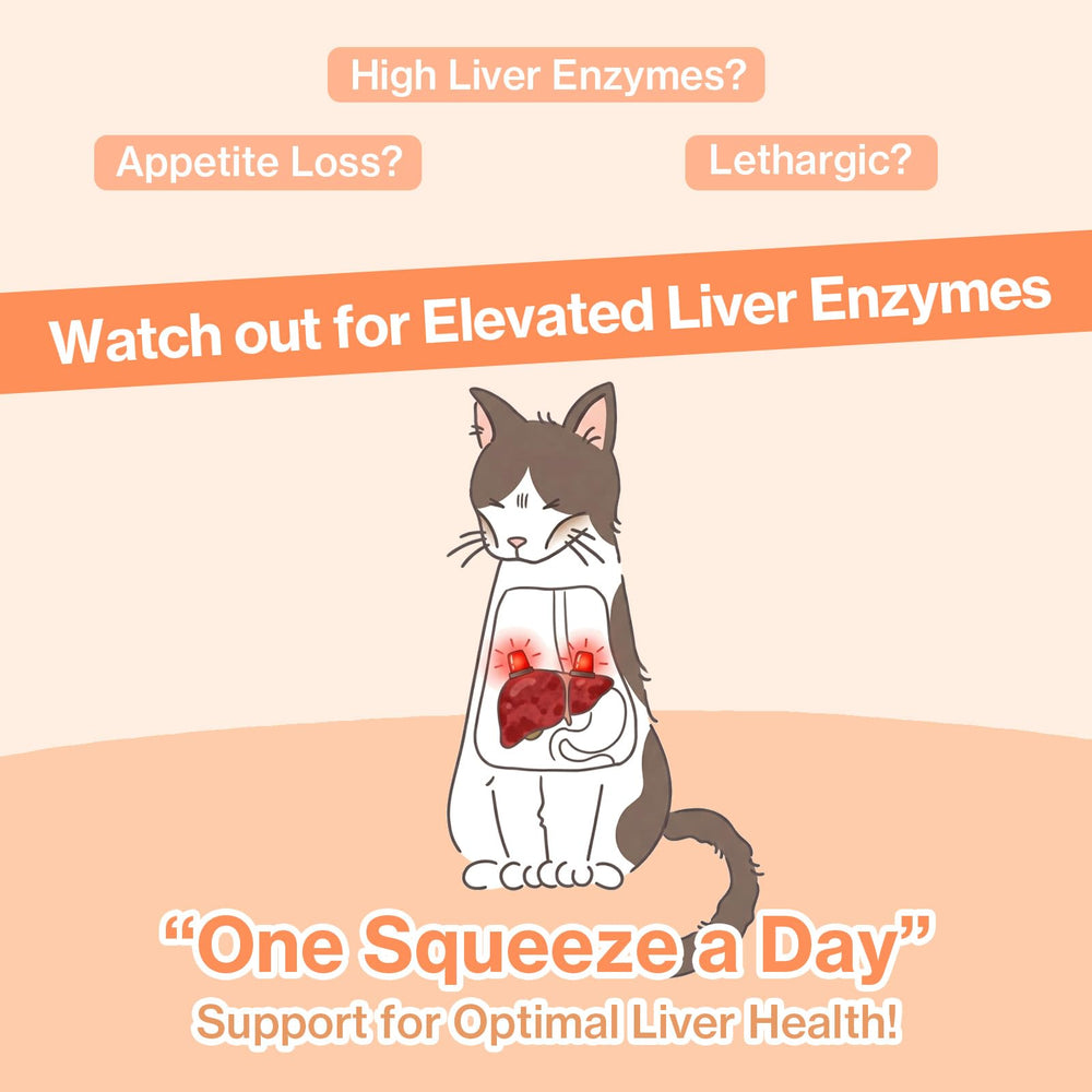 Squeezable pour action showing easy administration for busy cat owners
