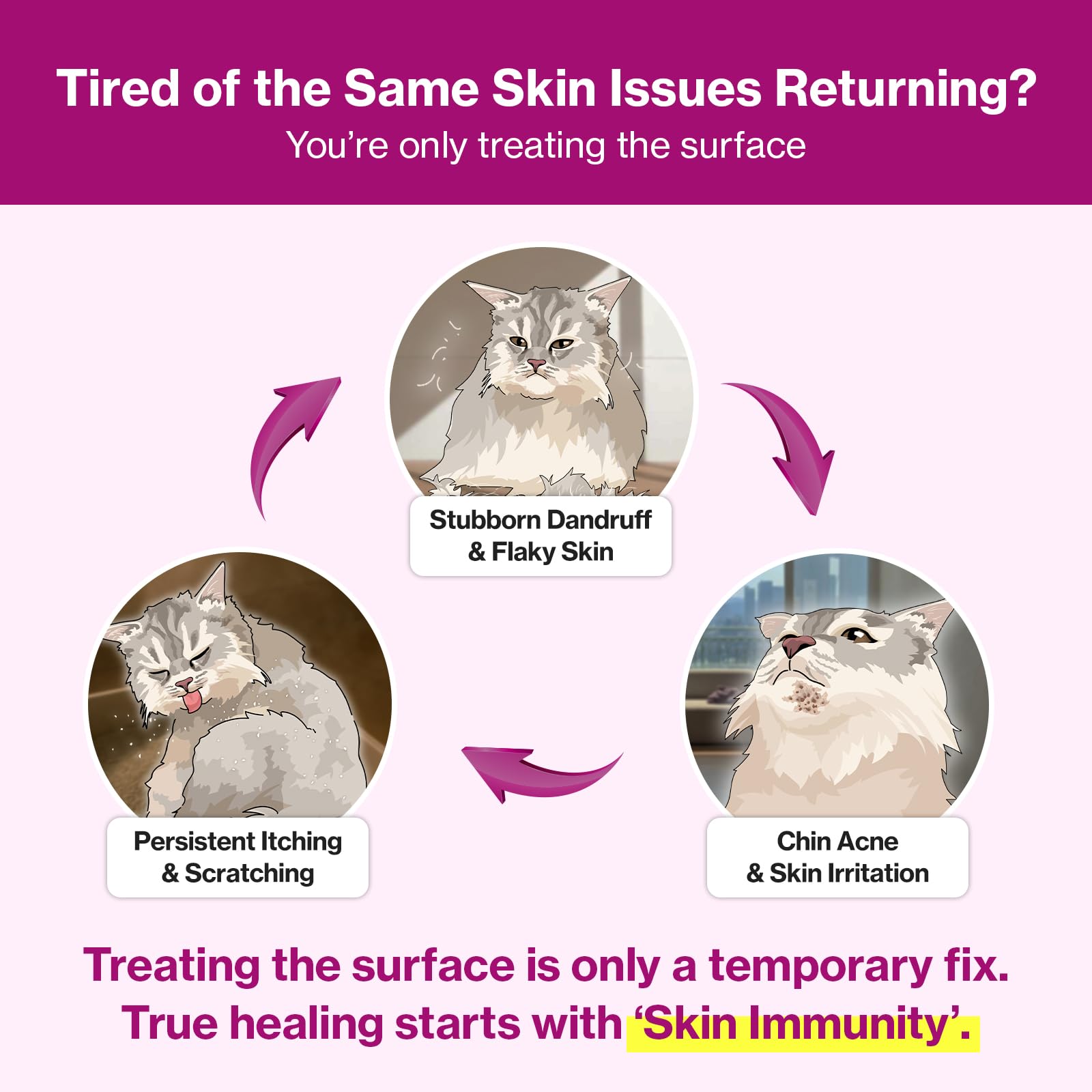AF-343 patented ingredient highlighted on Doctor By Cat Silk Derma label