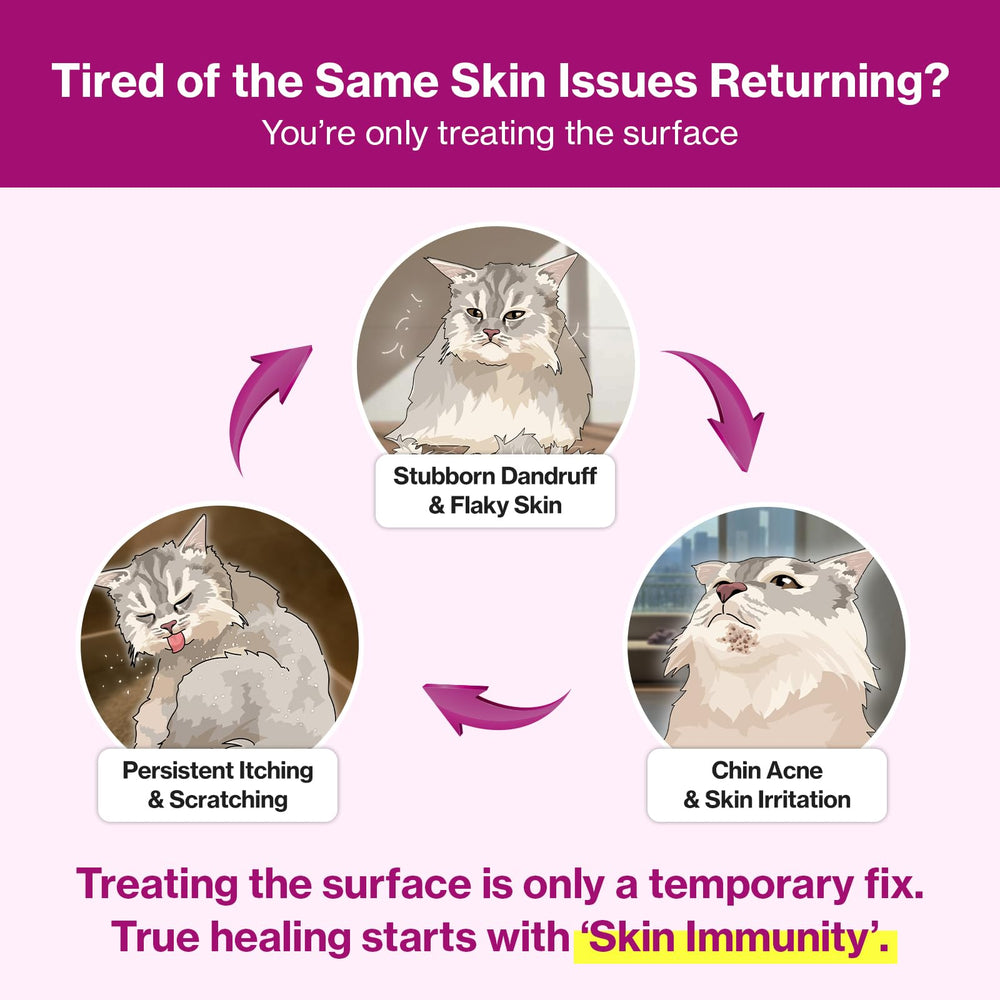AF-343 patented ingredient highlighted on Doctor By Cat Silk Derma label