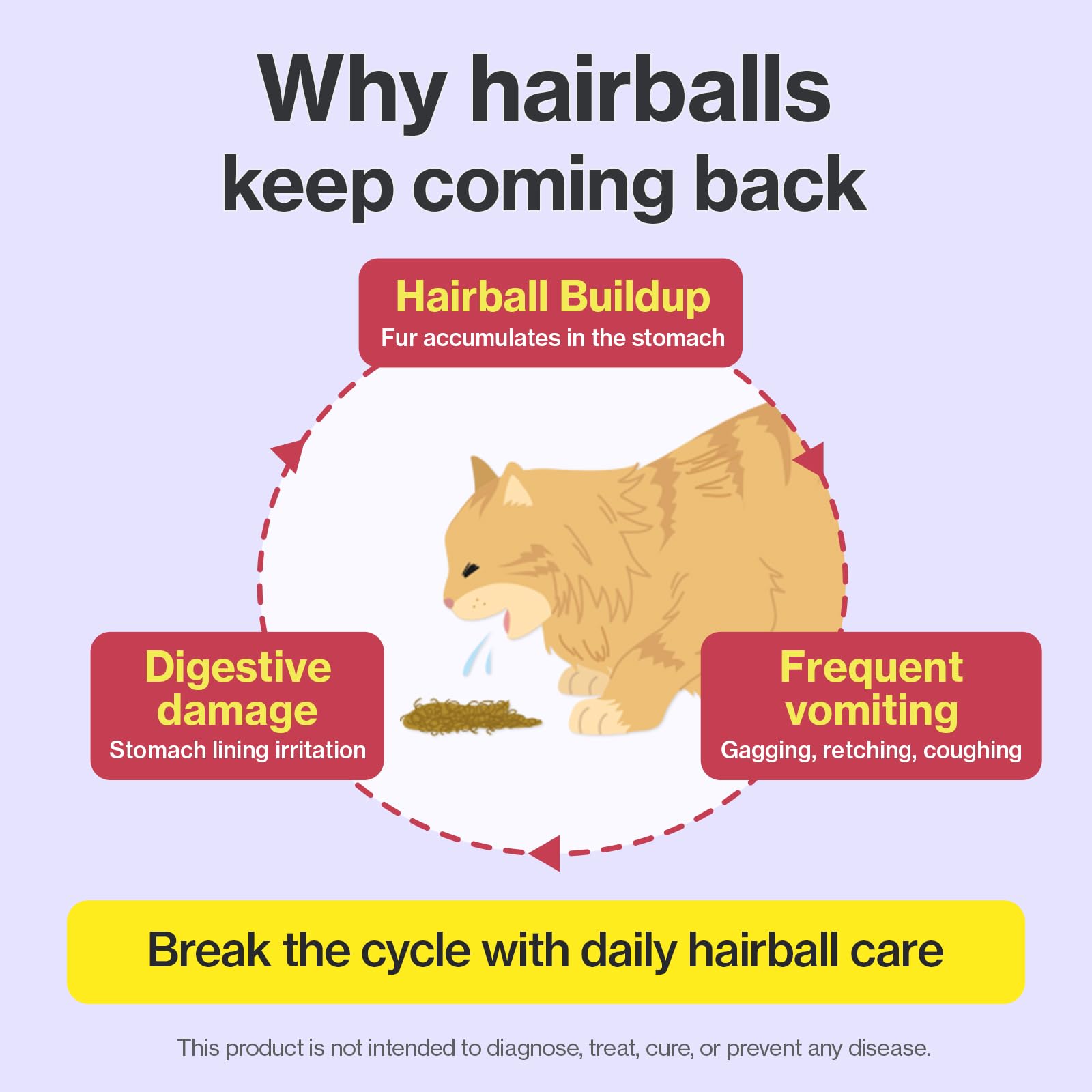 Doctor By HB Care Step One fiber blend supports fur binding.