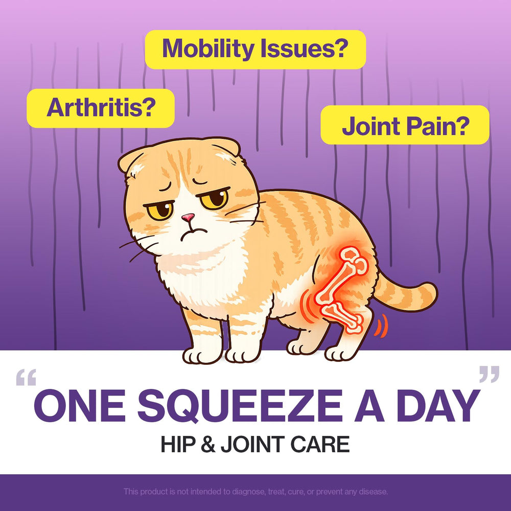 Doctor By HJ Care lickable formula serving as a cat friendly treat