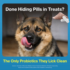 KT-11 heat-treated probiotic provides gentle daily support for dogs.