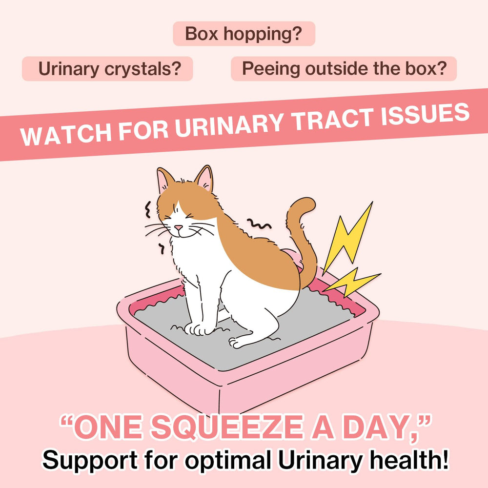 Doctor By UT Care cranberry power supports urinary balance in cats.