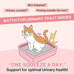 Doctor By UT Care cranberry power supports urinary balance in cats.