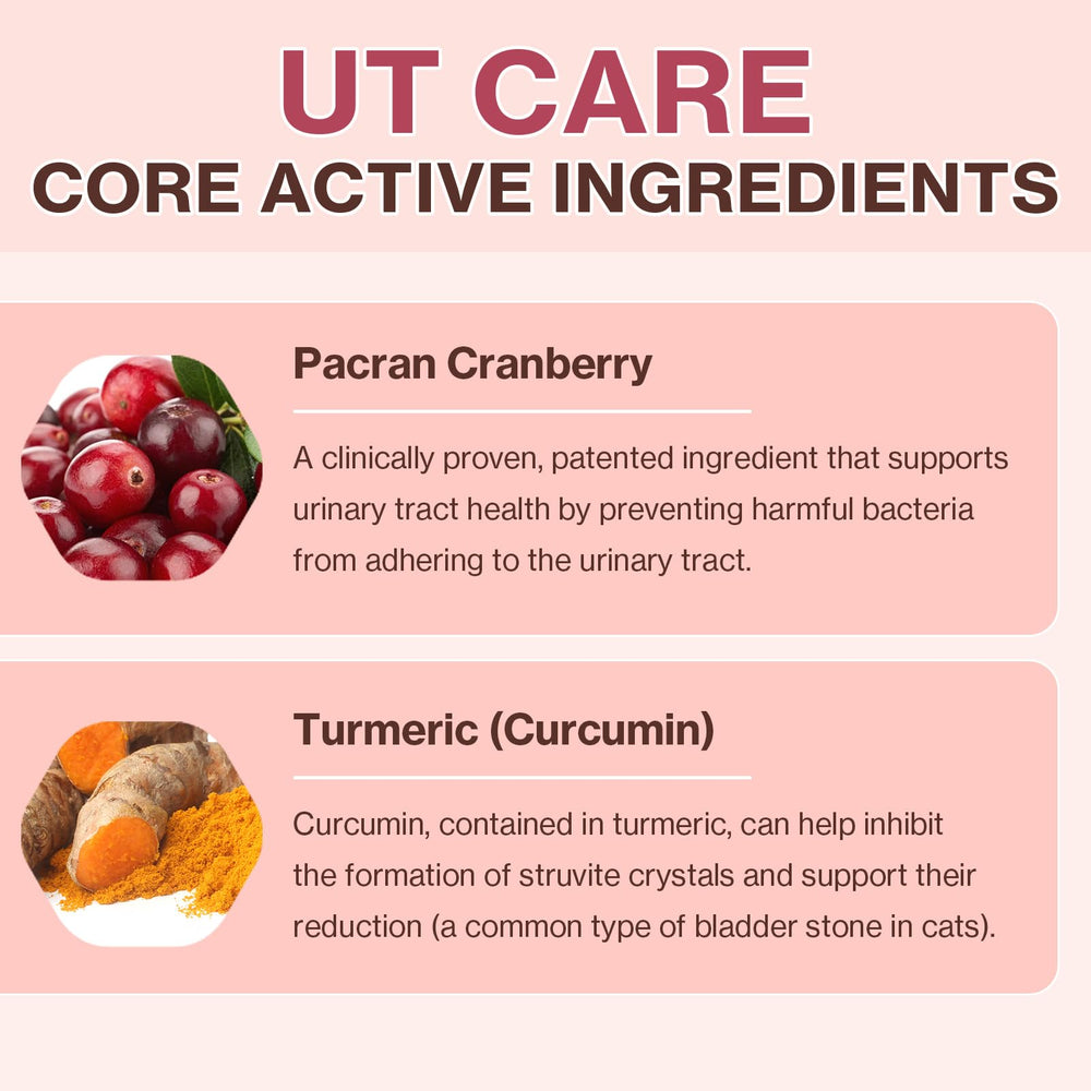 Doctor By UT Care hydration-supporting lickable formula for cats.
