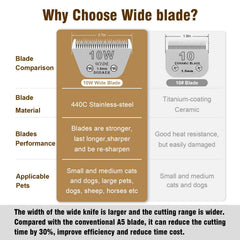 DODAER 440C stainless-steel blade close-up showing durability