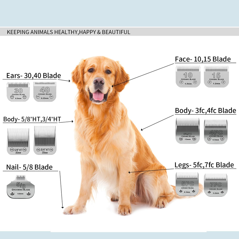 DODAER low-noise operation improves quiet grooming sessions.