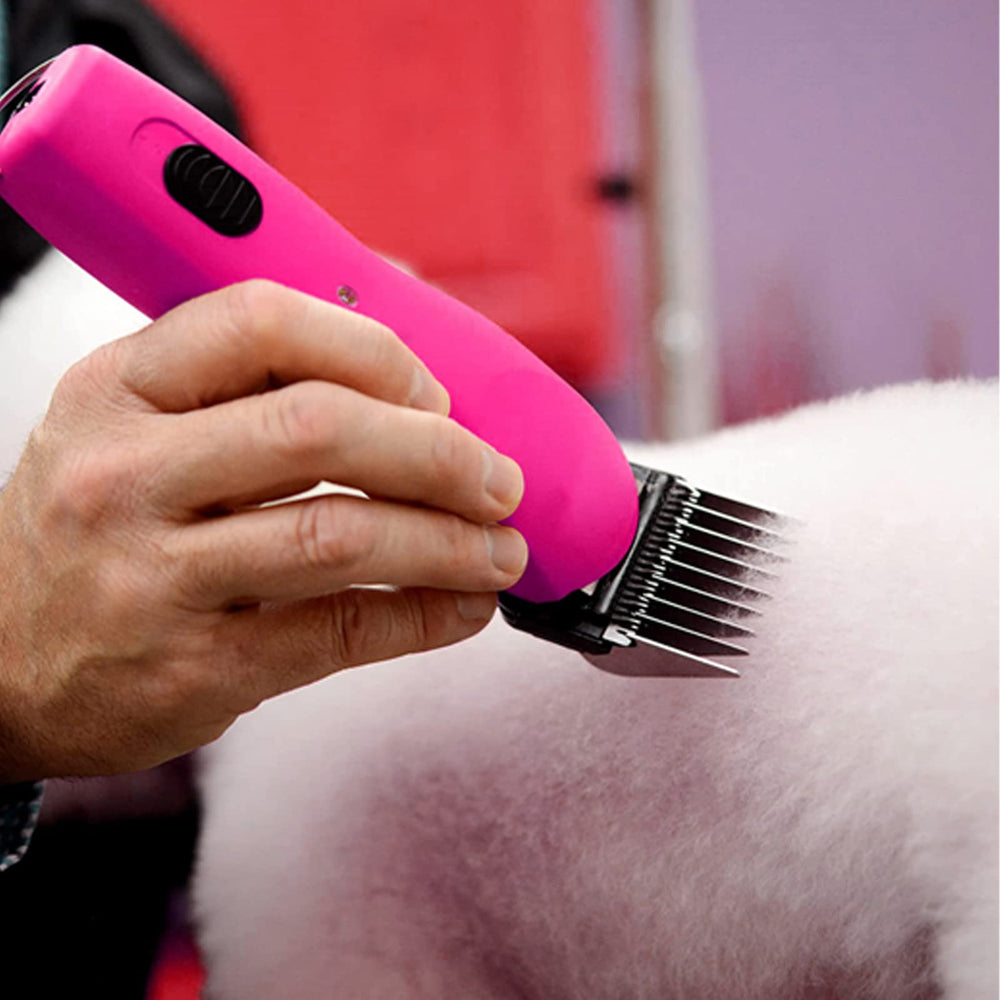 DODAER professional pet grooming in action with dogs, cats, and horses.