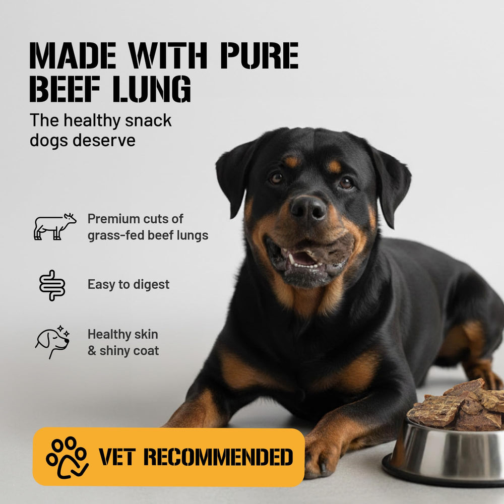 Dog Chits Beef Lung Treats label shows USA-made origin.