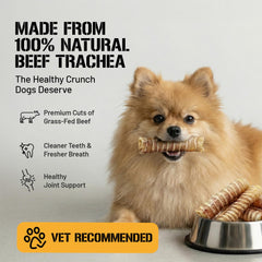Dog Chits Beef Trachea dental-clean crunch promotes oral health.