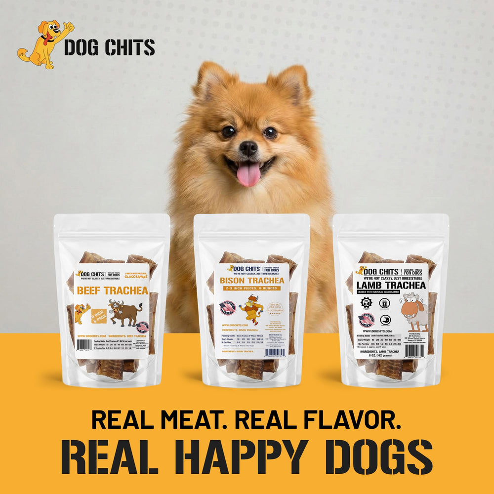 Dog Chits Beef Trachea label-back view shows ingredients and sourcing.