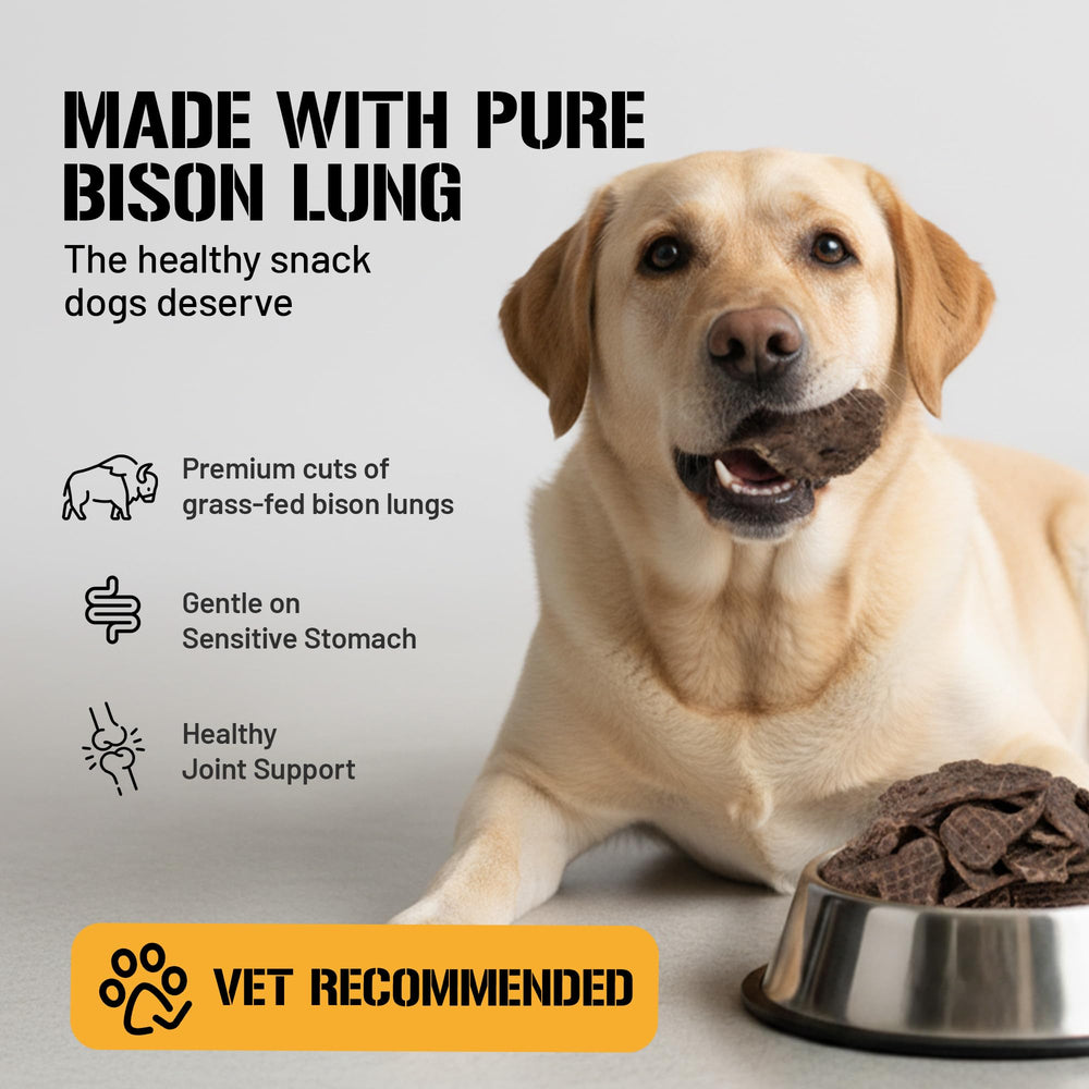 Dog Chits Bison Lung Fillets ingredients label close-up highlights grain-free, single-ingredient goodness.