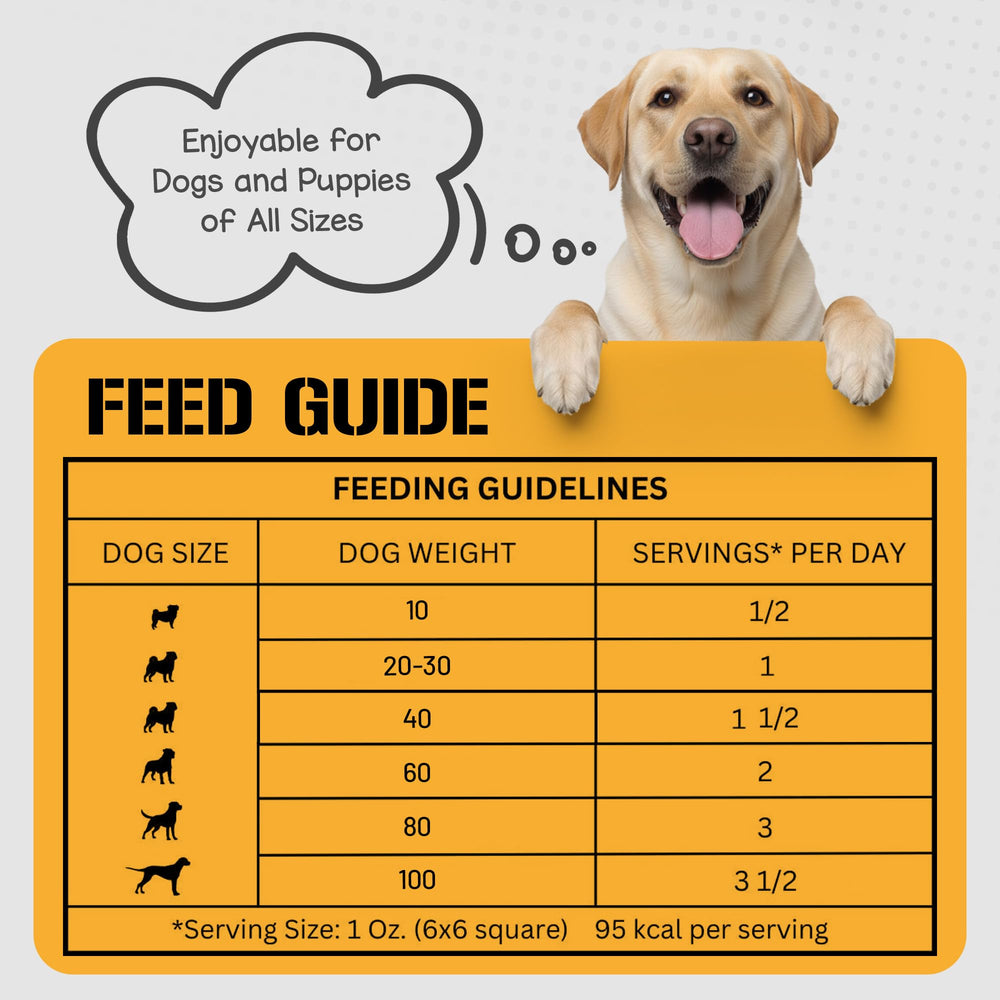 Dog Chits Bison Lung Fillets training-use scene emphasizes motivation during sessions.