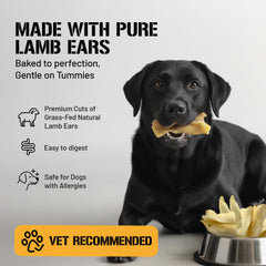 Dog Chits Lamb Ears dental-benefit image suggests plaque-fighting potential from chewing.