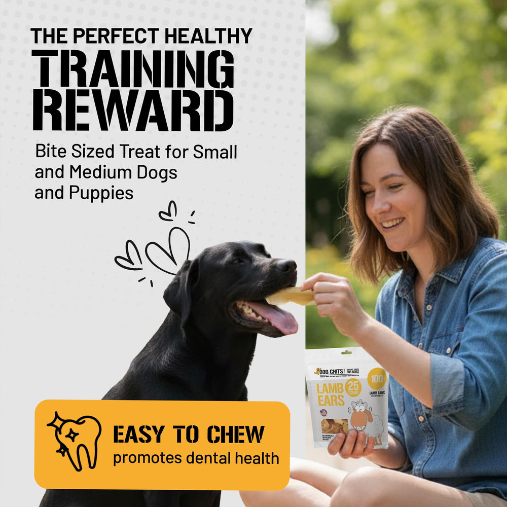 Dog Chits Lamb Ears dog-snack-in-mouth: protein-rich, low-fat bite
