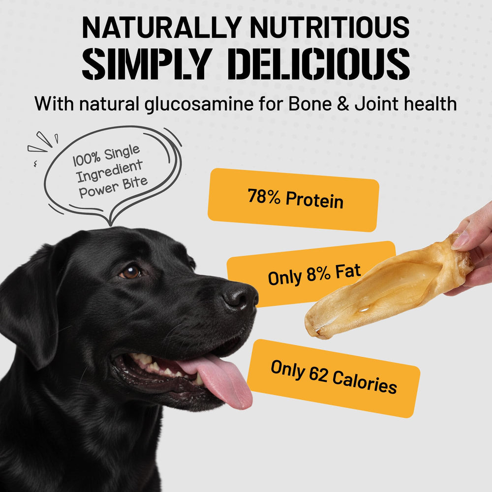 Dog Chits Lamb Ears: meaty grain-free snack ideal for large dogs