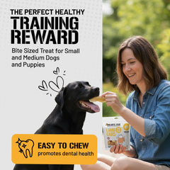 Dog Chits Lamb Ears oven-baked view emphasizes a safer, digestible chew.