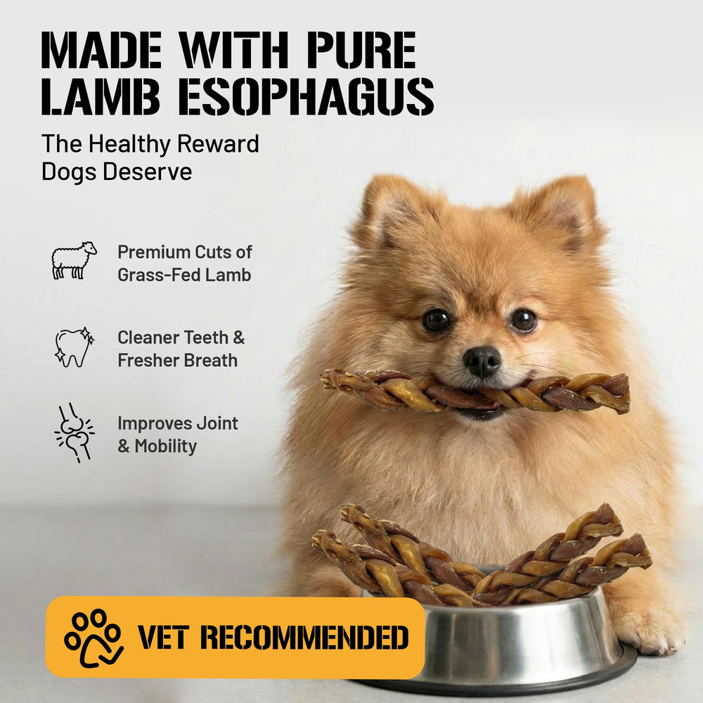 Dog Chits Lamb Esophagus Chews dental benefit closeup may support dental hygiene