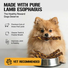 Dog Chits Lamb Esophagus Chews dental benefit closeup may support dental hygiene