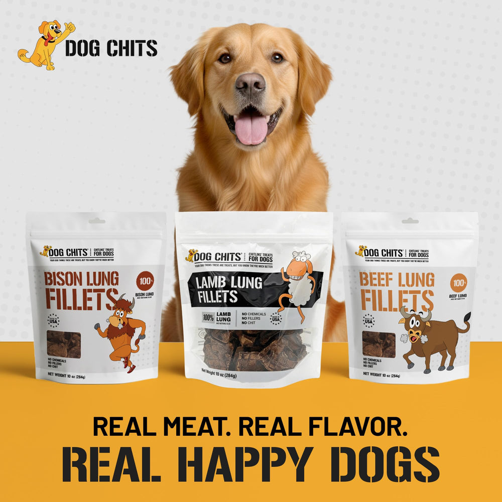 Dog Chits Lamb Lung Fillets 10 oz bag, convenient for training on the go