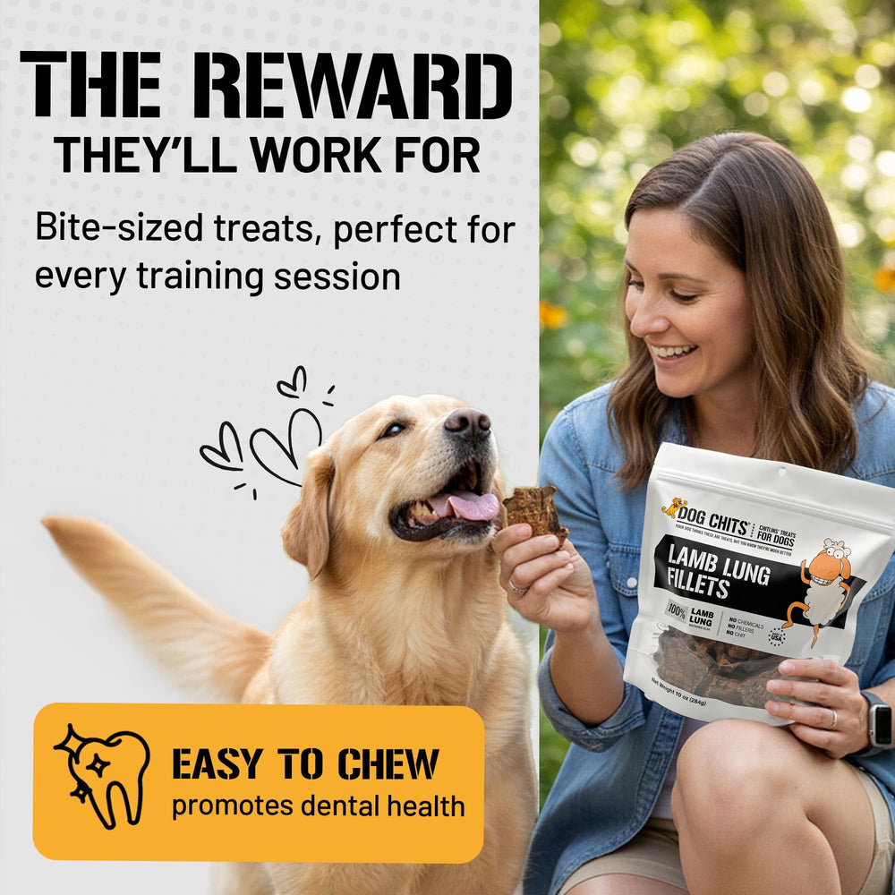 Dog Chits Lamb Lung Fillets easy-to-break slices, ideal for portion control