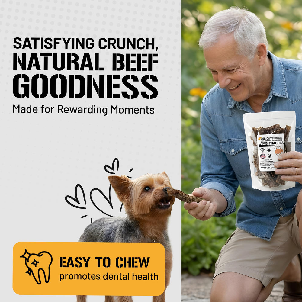 Dog Chits Lamb Trachea natural texture closeup emphasizing meat-based chew quality.