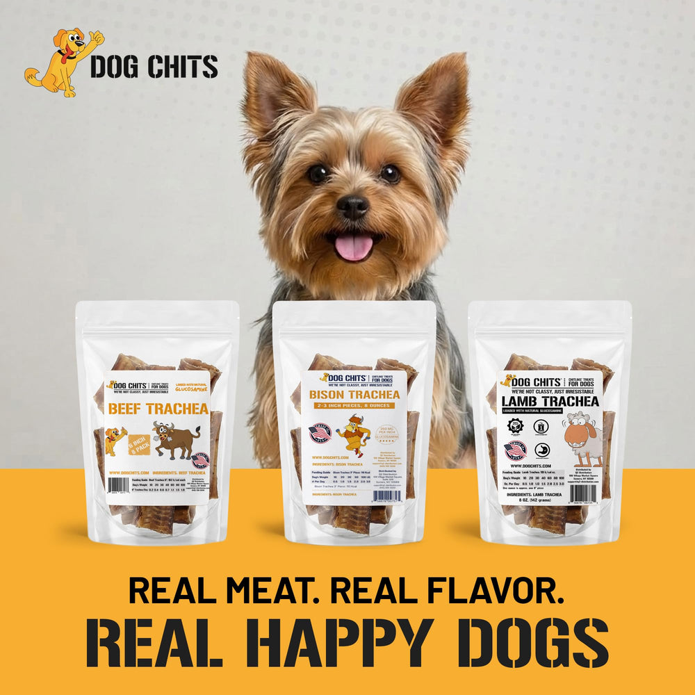 Dog Chits Lamb Trachea training reward image demonstrates treat-time use.
