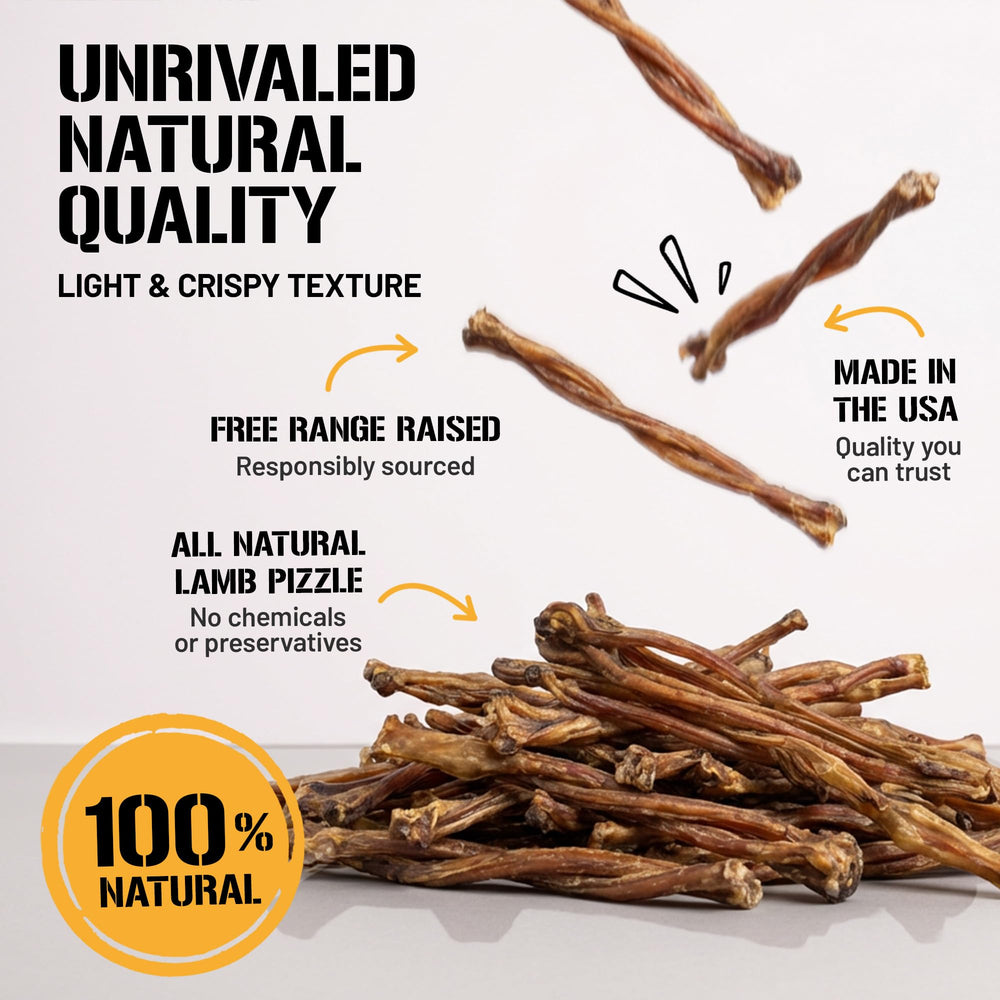 Dog Chits long-lasting chew shown during playtime to reduce boredom.