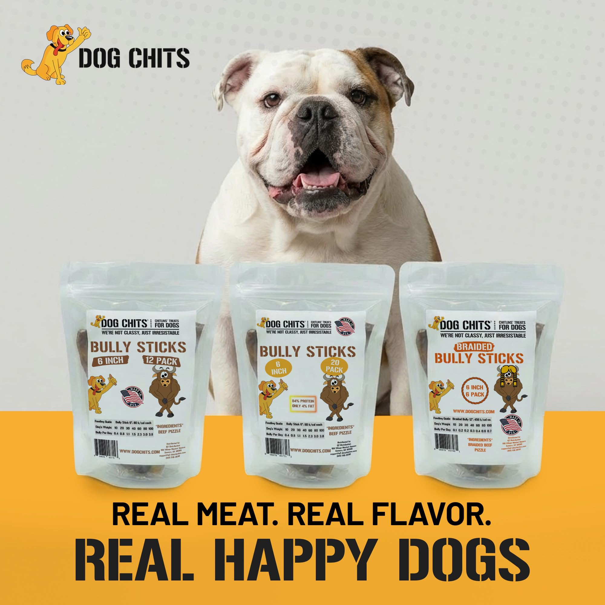 Dog Chits made in USA image underscores safety, quality, and testing.