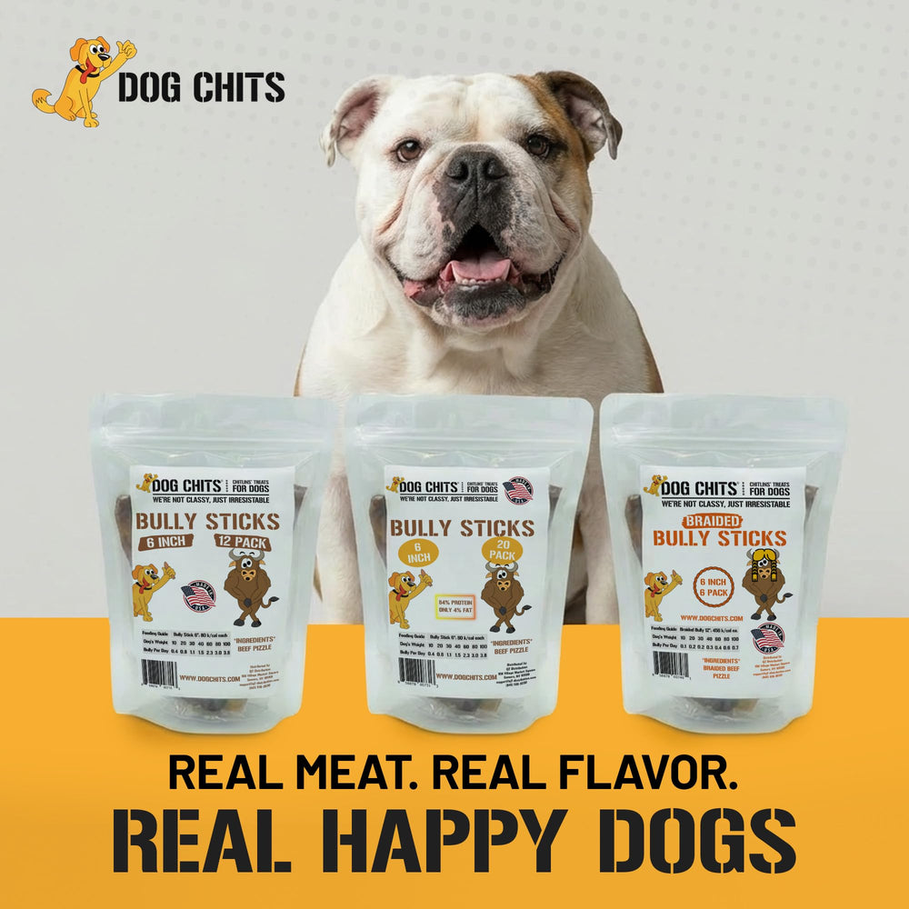 Dog Chits made in USA image underscores safety, quality, and testing.