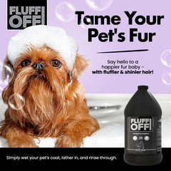 Dog coat after Girl With The Dogs Fluff Off bath looks soft and shiny