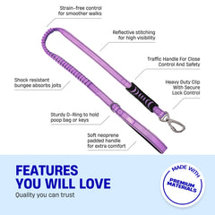 Dog Friendly Co Bungee leash with D-ring for accessories like bags or keys