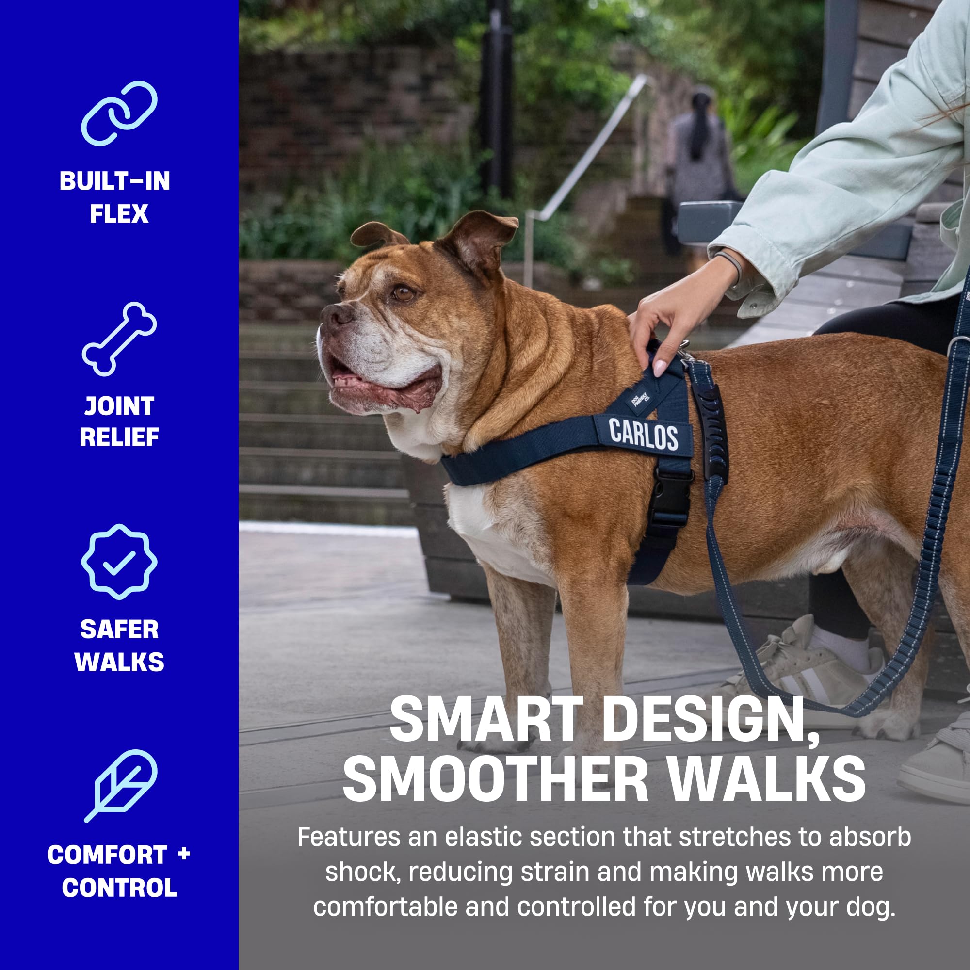 Dog Friendly Co Bungee leash length 1.2m for close-training use