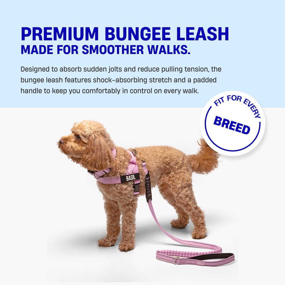 Dog Friendly Co Bungee leash neoprene handle for comfortable grip