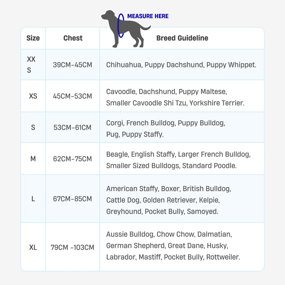 Dog Friendly Co Bungee leash stylish colors for fashion-forward walking