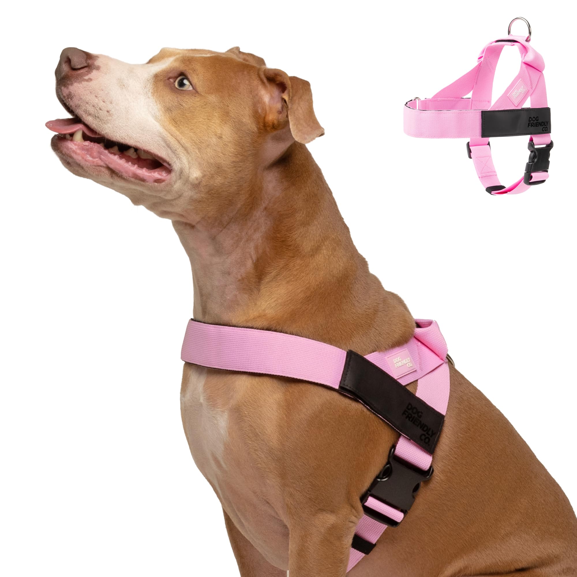 Dog Friendly Co pink XL harness with back D-ring for secure daily walks