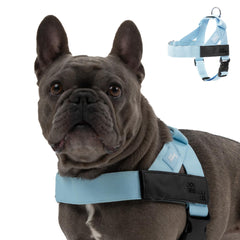 Dog Friendly Co harness with back D-ring for secure daily walks.
