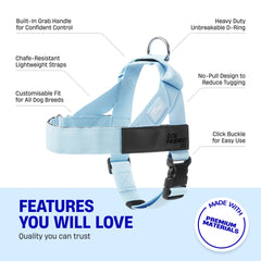 Dog Friendly Co harness with easy on-off clip for quick daily use.