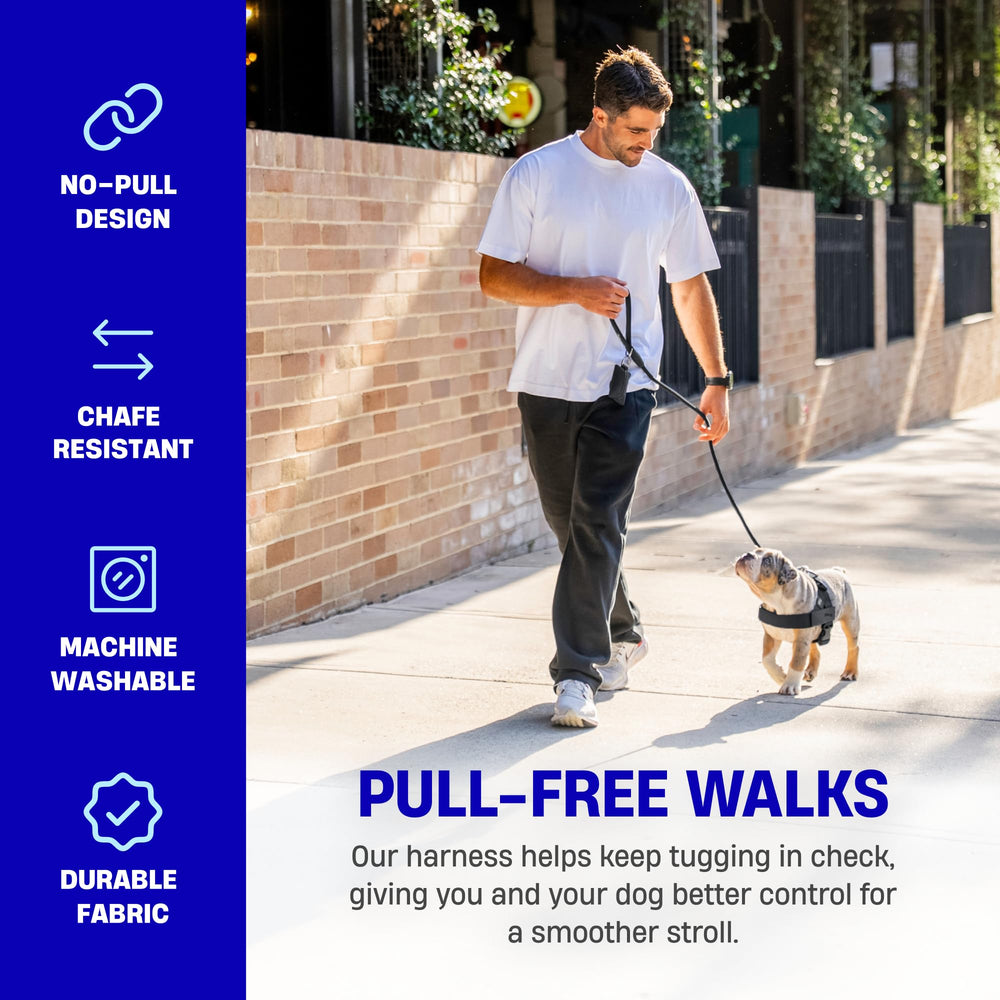 Dog Friendly Co harness includes sturdy grab handle for close control