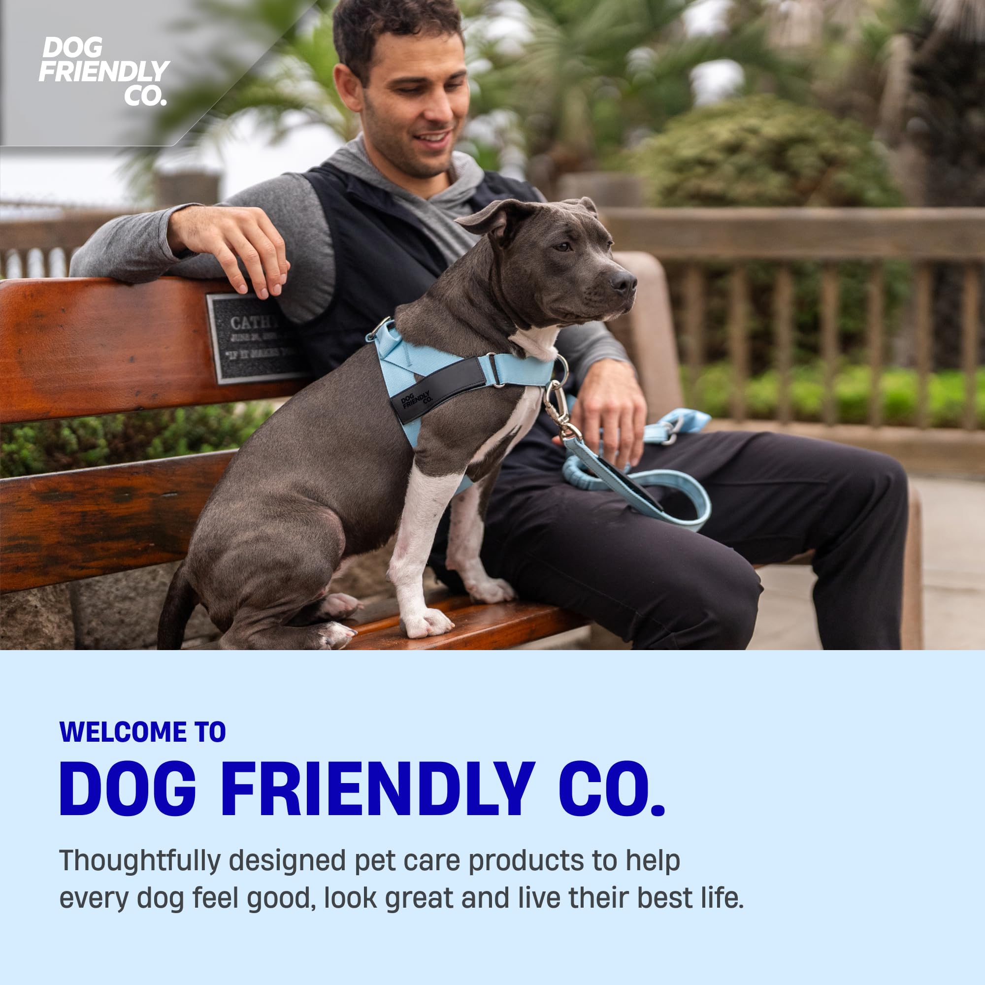 Dog Friendly Co harness with sturdy grab handle for better control during walks.