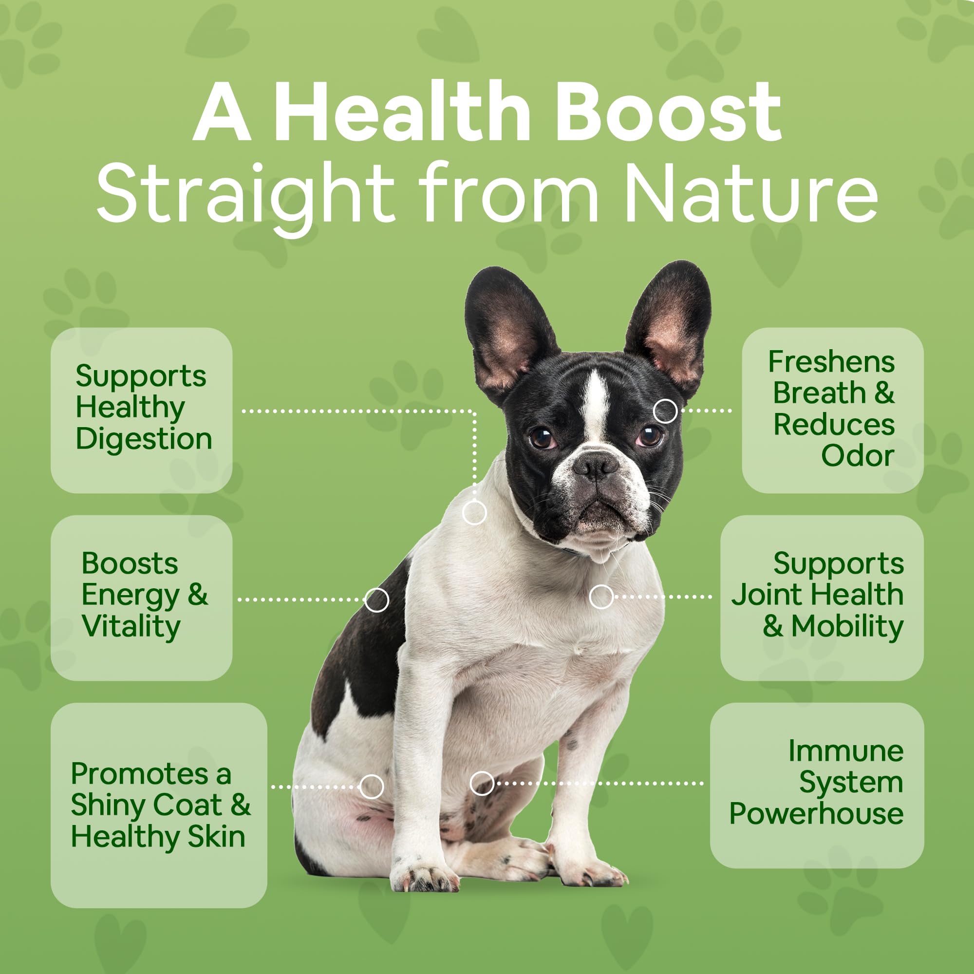 Close-up of organic sea moss in Dog Greens formula for daily energy.