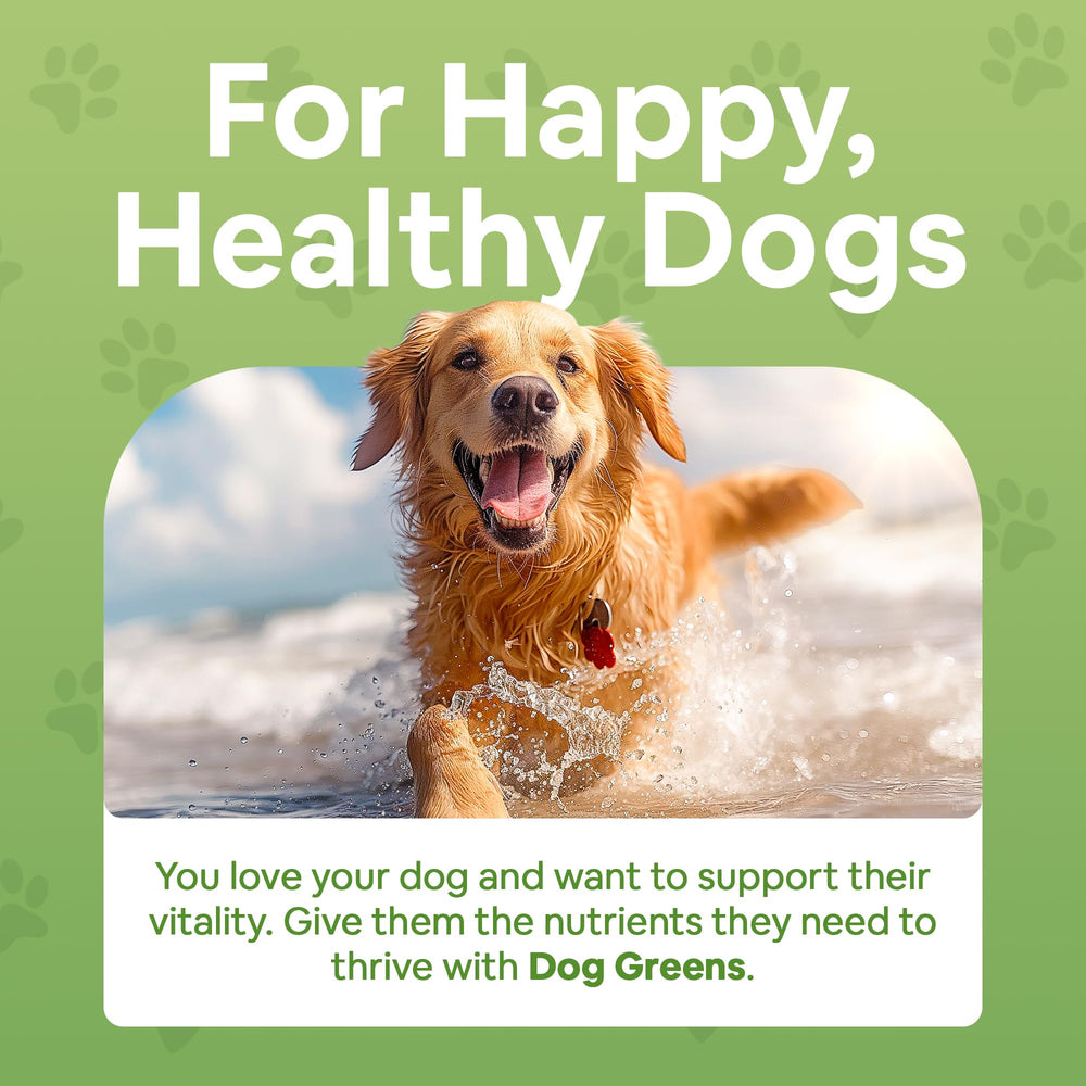 Dog Greens powder scoop over kibble for an easy daily boost.