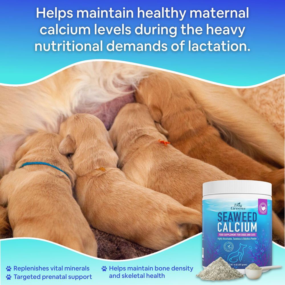 Dog Greens Seaweed Calcium powder naturally tasteless when added to meals.