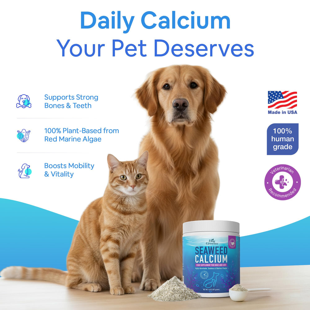 Dog Greens Seaweed Calcium scoop blended into pet food for easy supplementation.