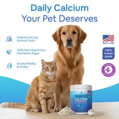 Dog Greens Seaweed Calcium scoop blended into pet food for easy supplementation.