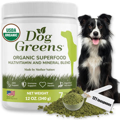 Dog Greens superfood powder packaging ready for healthy dog meals.