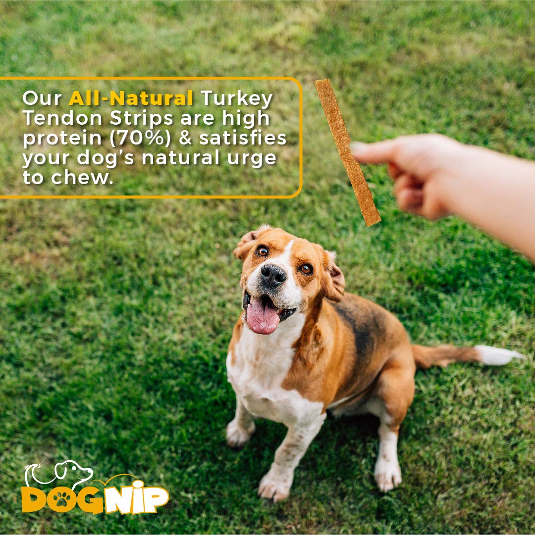 Dog Nip Gobble bulk chews in reseal bag for convenient fresh treats