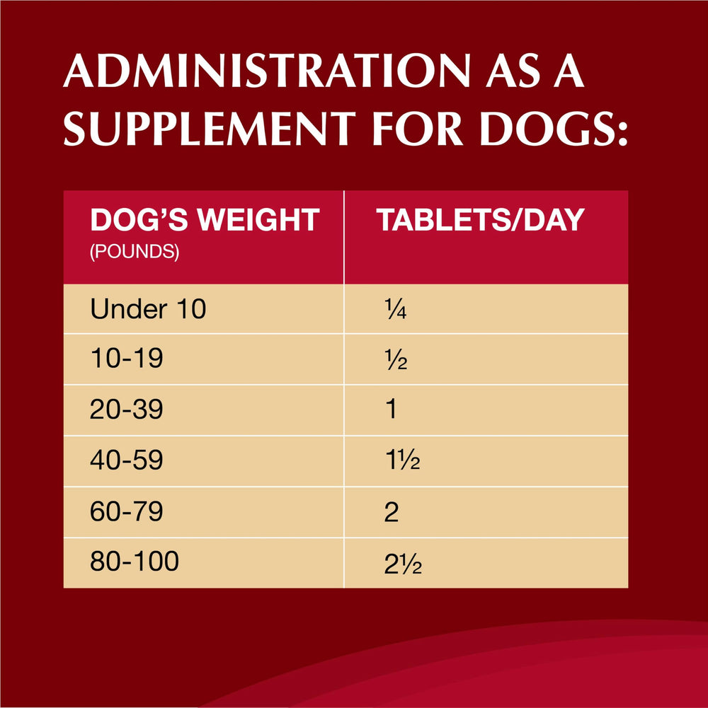 Dog owner administering Crananidin pill for urinary health support