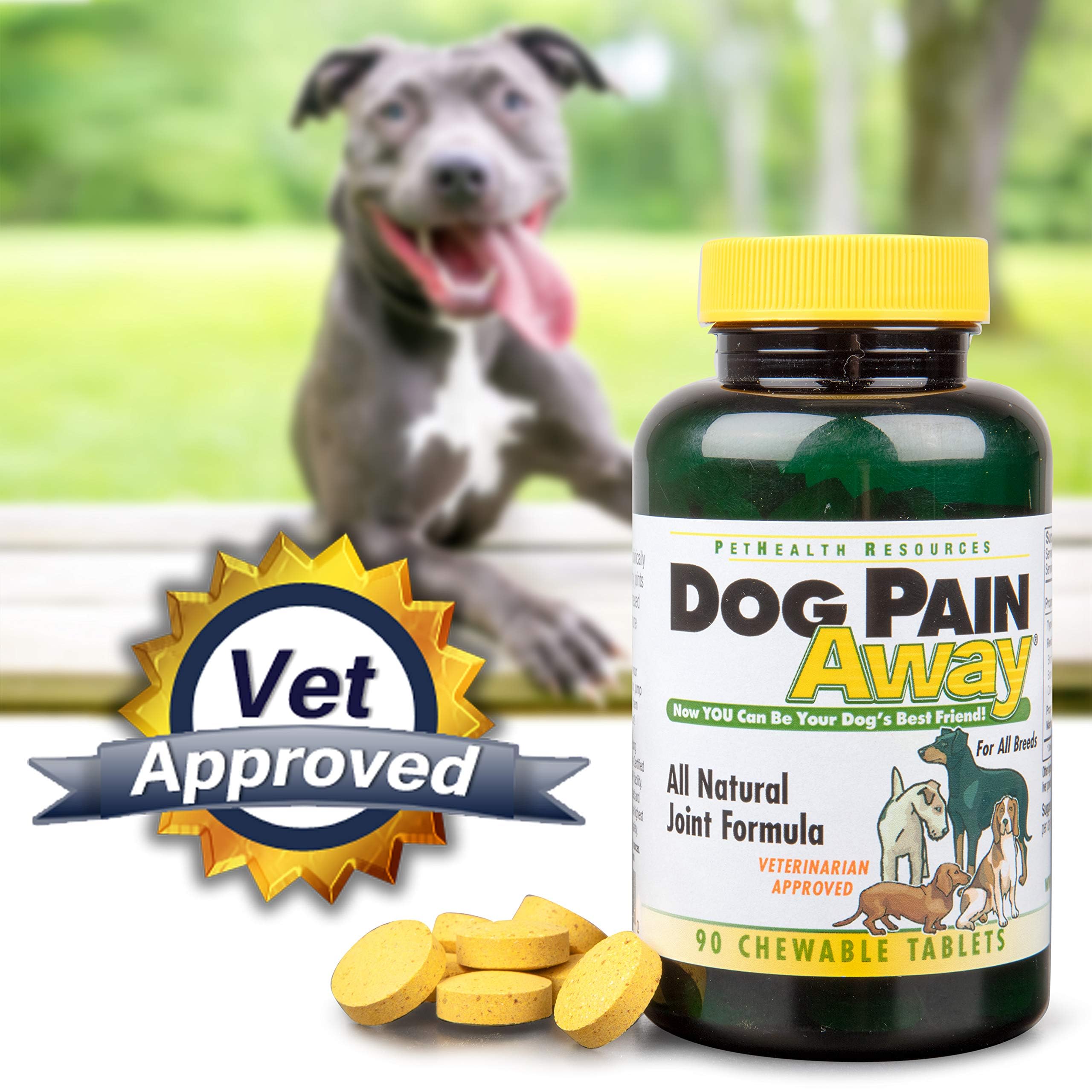 Dog Pain Away chews displayed as tasty treats for mobility.